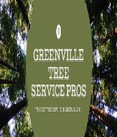 GREENVILLE TREE SERVICE PROS image 4
